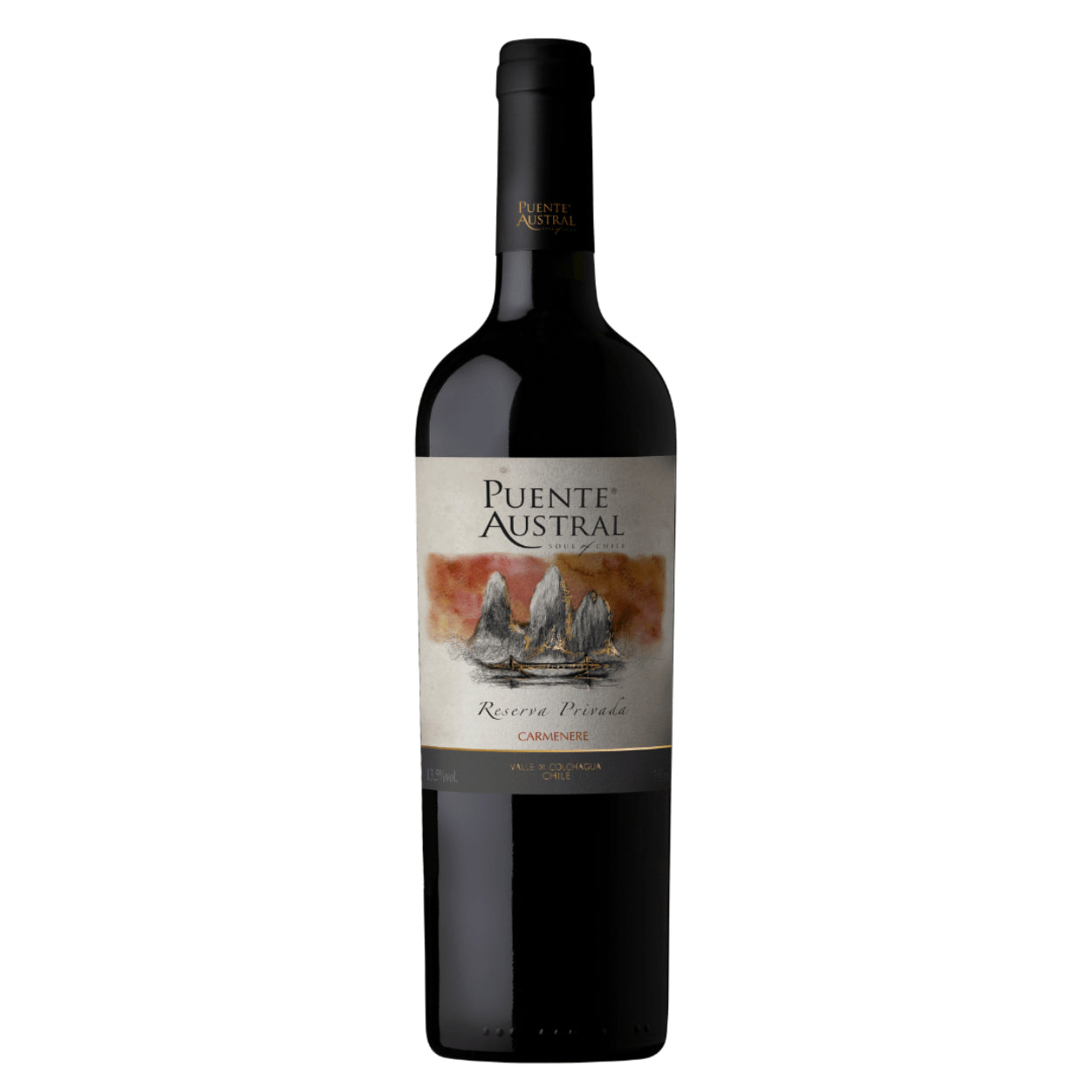 Puente Austral Reserva Carmenere 2022